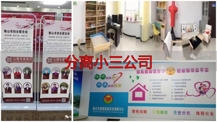 分离小三公司