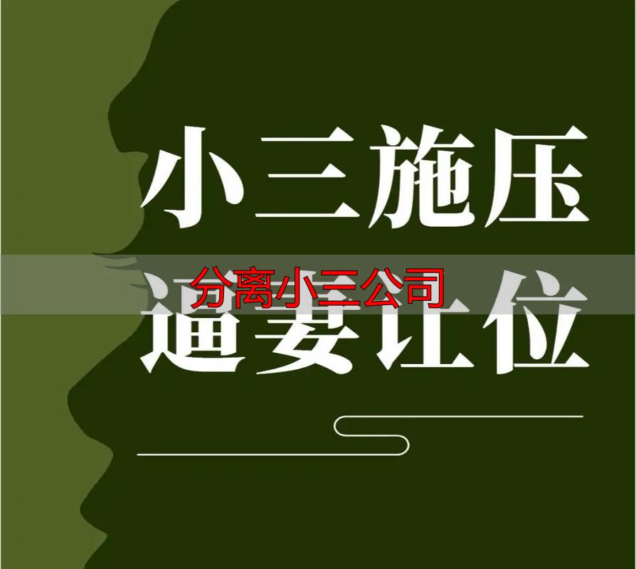 分离小三公司怎么选？官方指南避坑全流程