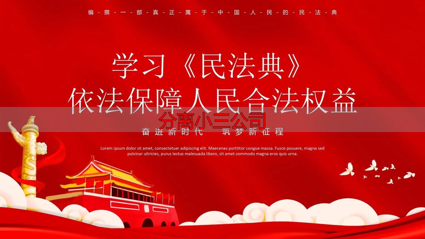 分离小三公司