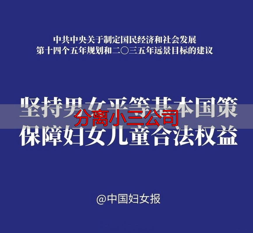 分离小三公司