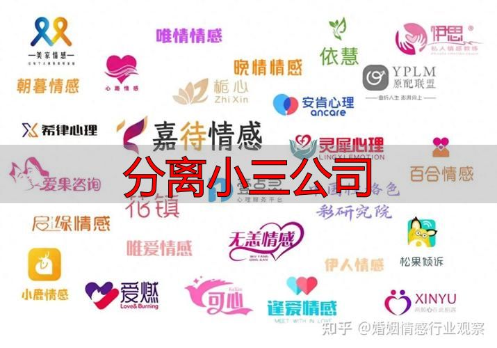 分离小三公司