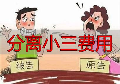 分离小三费用