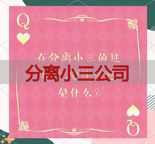 分离小三公司