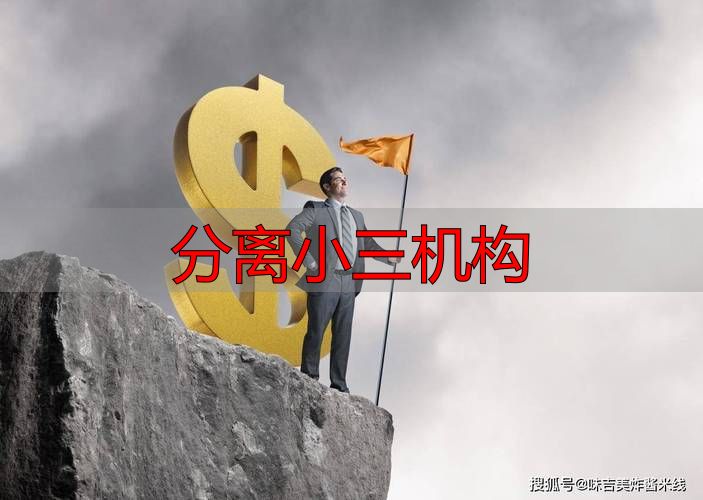 分离小三机构