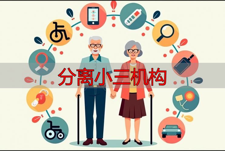 分离小三机构