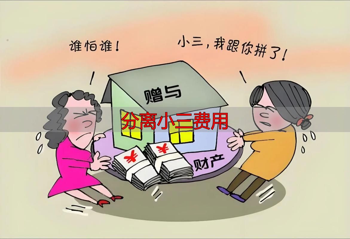 分离小三费用