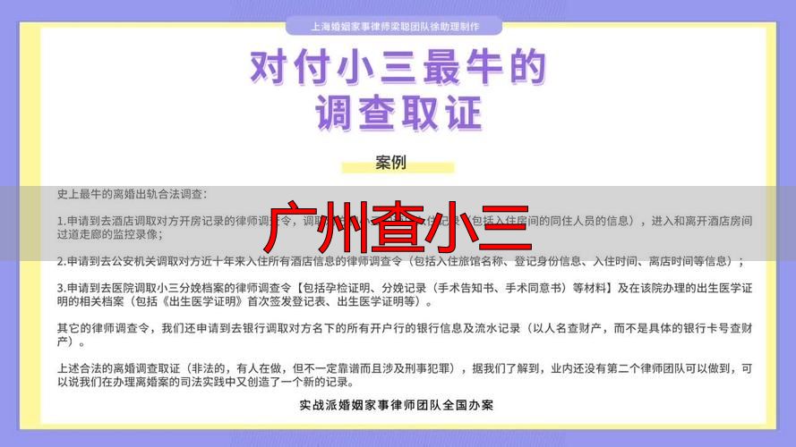 广州查小三