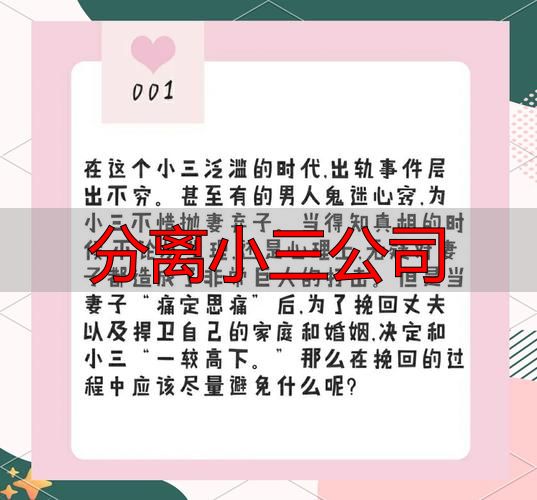 分离小三公司