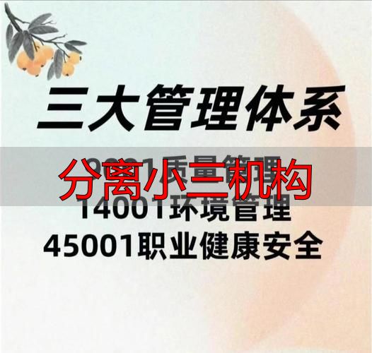 分离小三机构