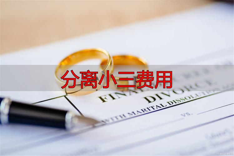 分离小三费用