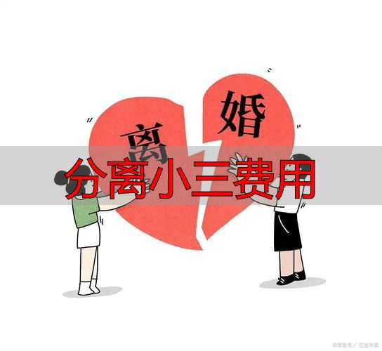 分离小三费用