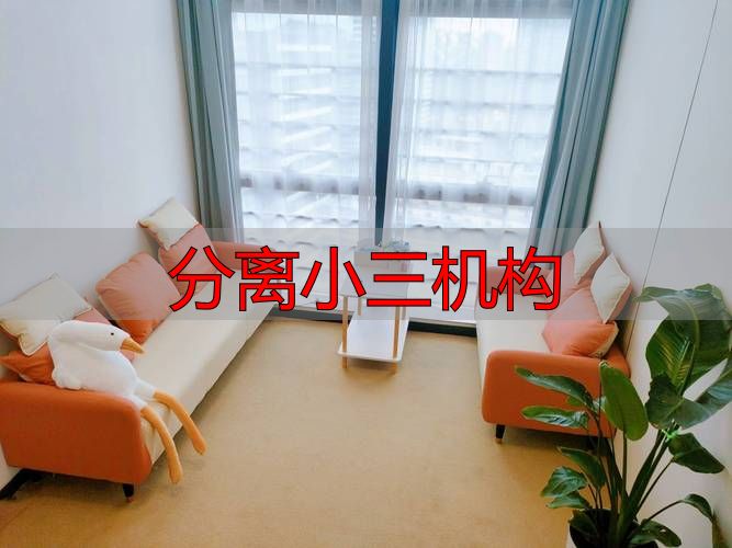 分离小三机构