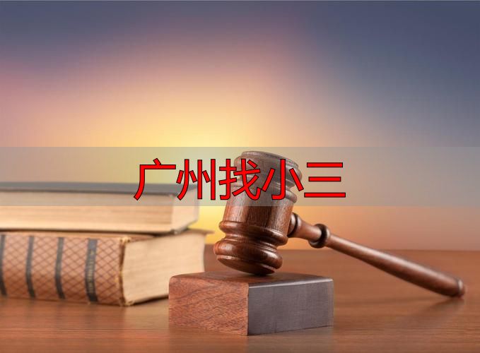 广州私自调查婚外情：法律红线与维权建议