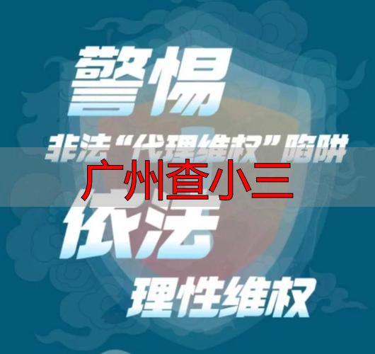 广州查小三：官方指南与合法维权路径