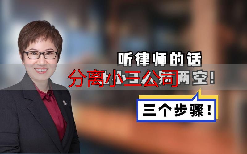 分离小三公司