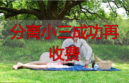 分离小三成功再收费