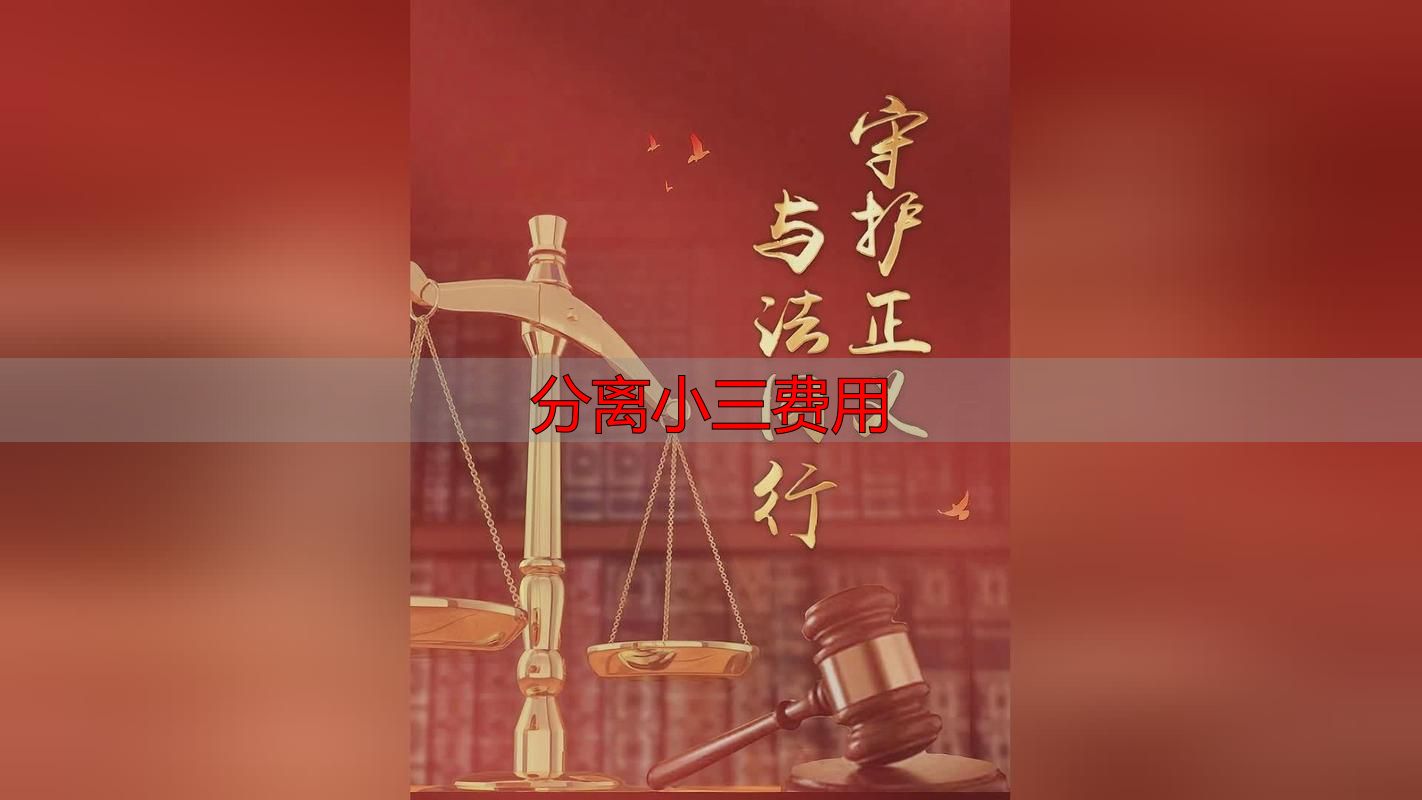 分离小三费用怎么要回？法律全额追回指南