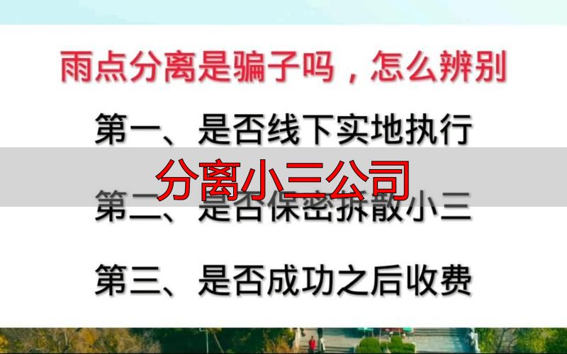 分离小三公司