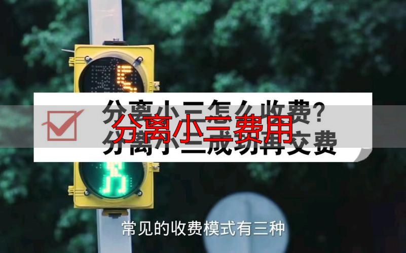 分离小三费用