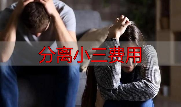 分离小三一般多少钱？正规机构收费明细公开