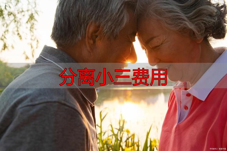分离小三费用