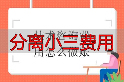 分离小三费用明细：律师费、咨询费全解析