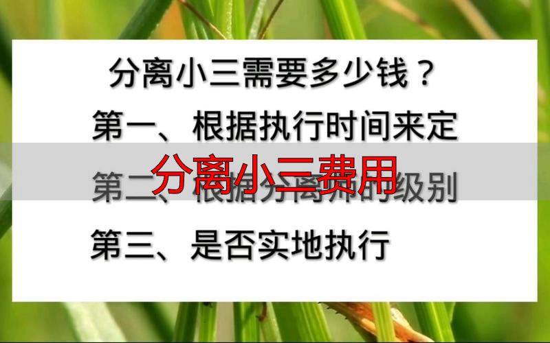 分离小三费用