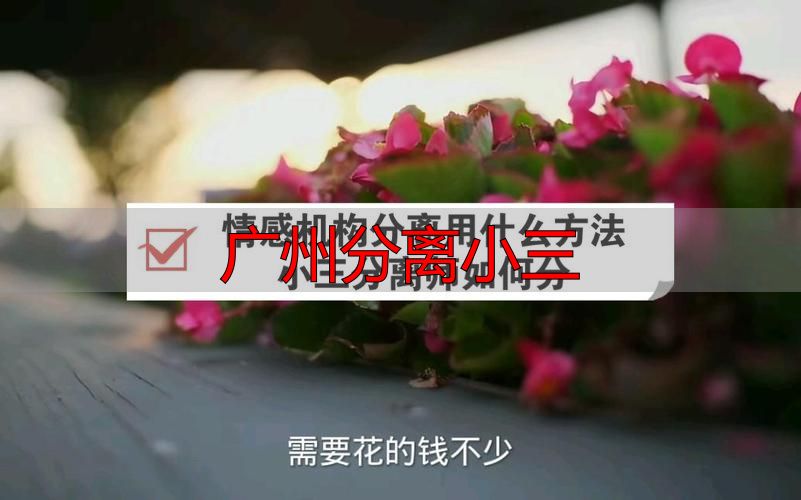 广州分离小三