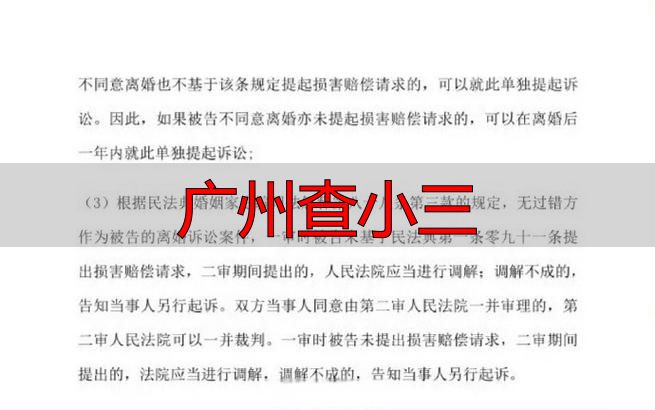 广州查小三