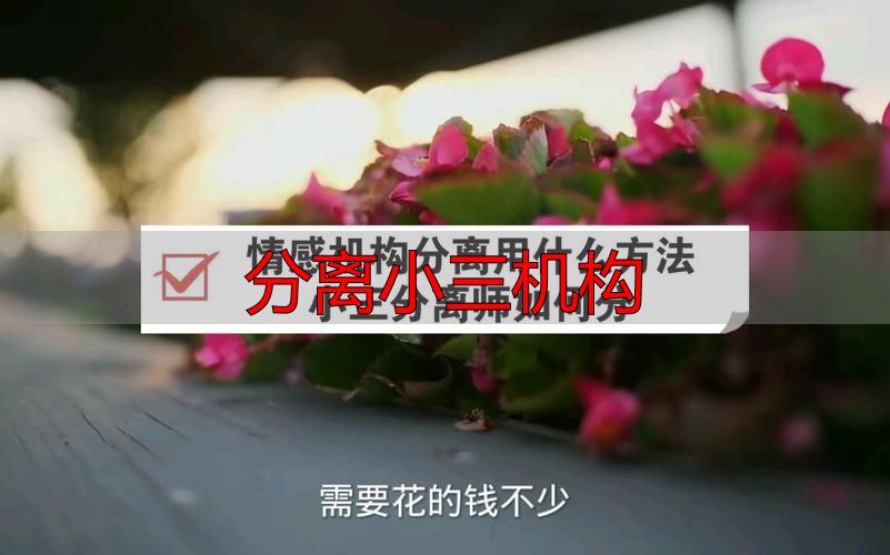 分离小三机构如何选择？专业婚姻修复服务指南