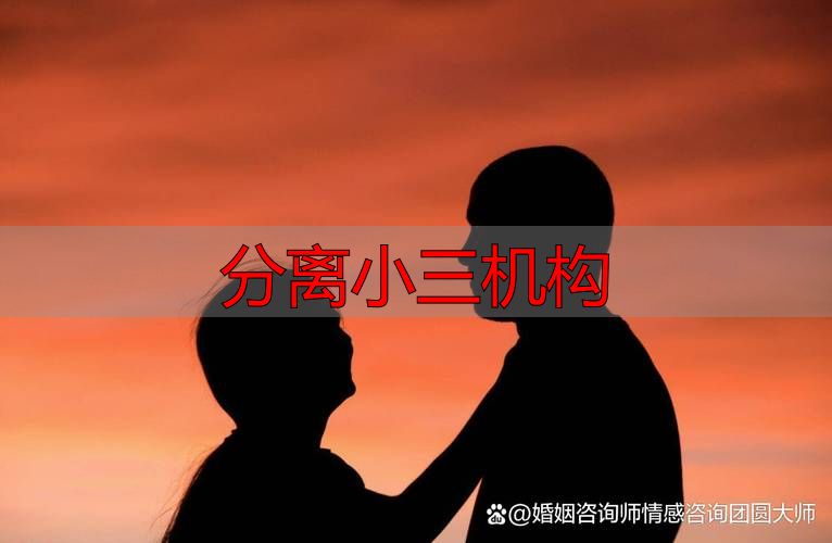 分离小三机构