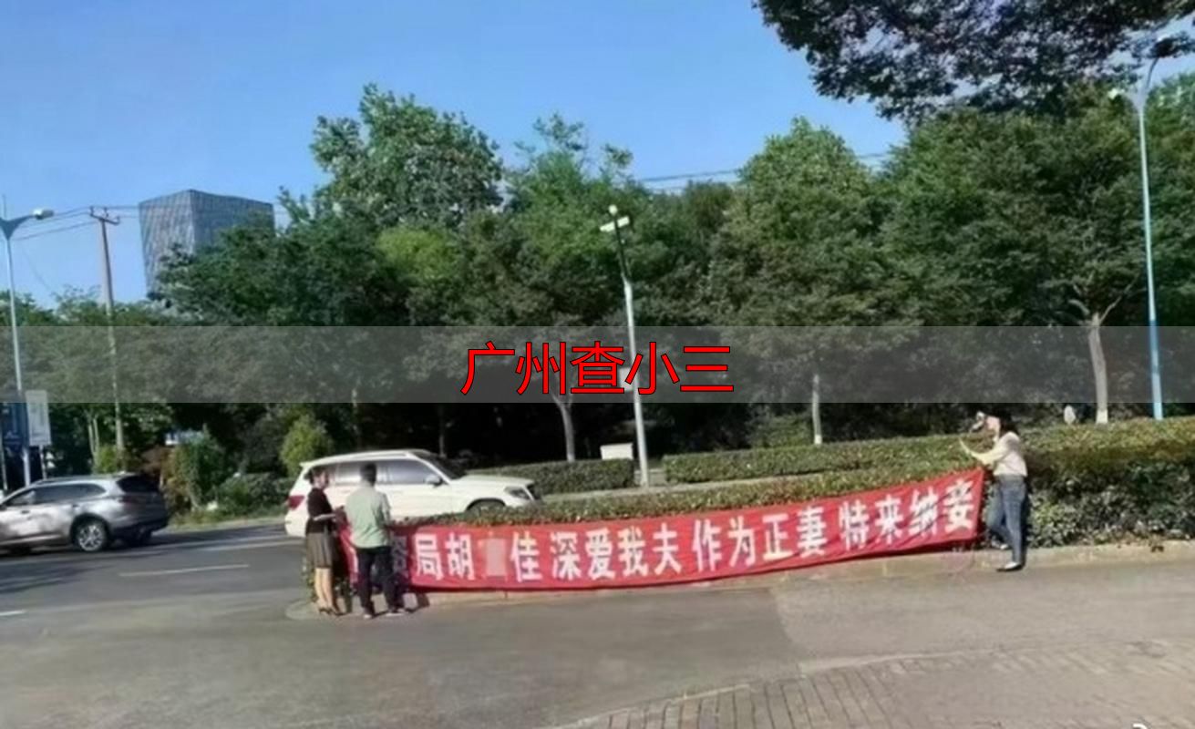 广州查小三