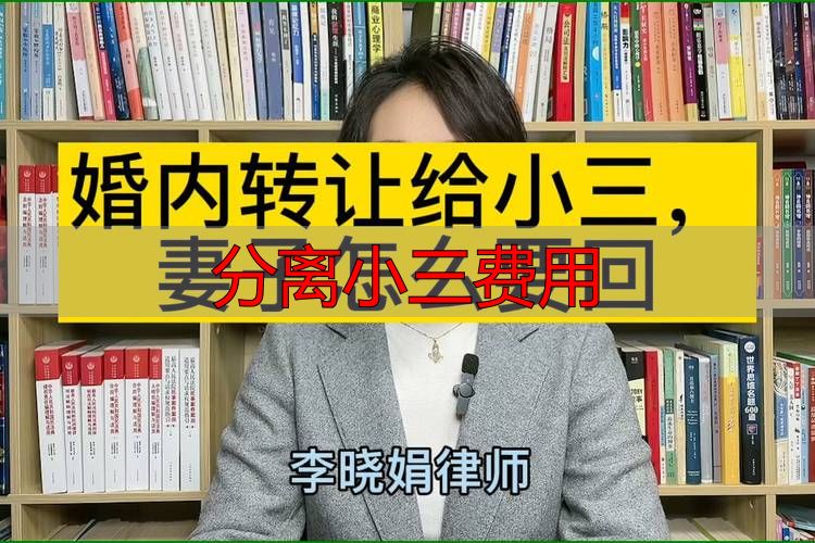 分离小三费用