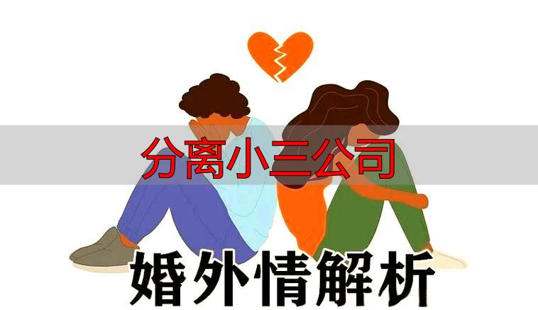分离小三公司