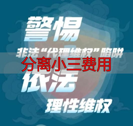 分离小三费用