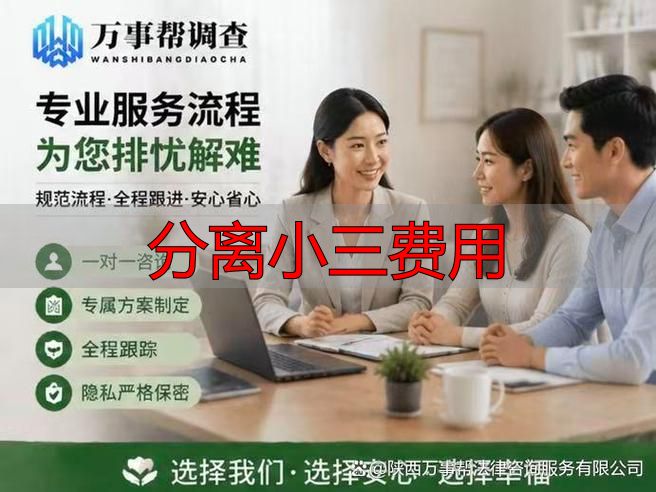 分离小三费用