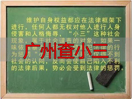 广州查小三