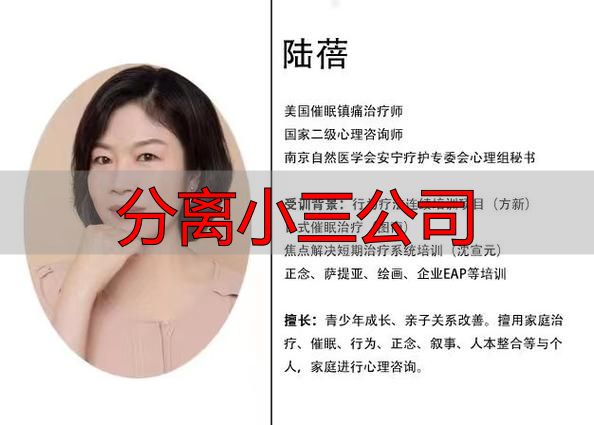 分离小三公司